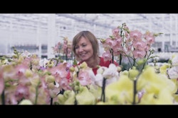 Maxresdefault 5cc0832d3a7e2