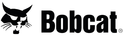 Bobcat Logo 10888642