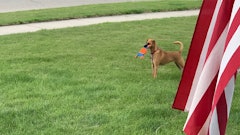 58605530182 A991 E680 59 B6 442 A 8 D06 187 Fdb1799 C1