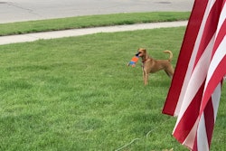 58605530182 A991 E680 59 B6 442 A 8 D06 187 Fdb1799 C1