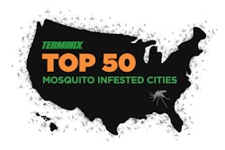 National Top 50 Mosquito Cities Usa