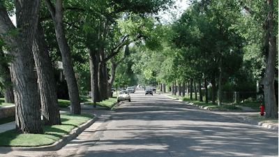 About 80 percent of the U.S. population lives in urban areas and depends on the essential ecological, economic and social benefits provided by urban trees and forests. More than 14 years of work is now part of a U.S. Forest Service technical guide and database to help urban foresters and city planners more precisely select the kinds of trees best for their community.