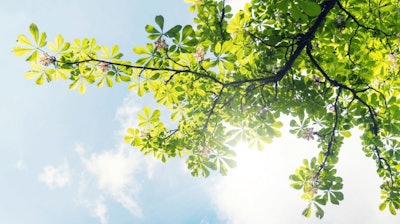 I Stock 960347628 1 1080x608