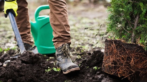 Tree Planting Hole I Stock 1127546478 1080x608