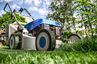 Garden Gardening Grass 589