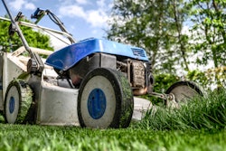 Garden Gardening Grass 589