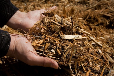 Juniper Tree Mulch I Stock 147315481 1024x683