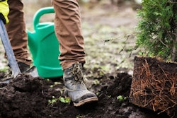 Tree Planting Hole I Stock 1127546478 1080x608