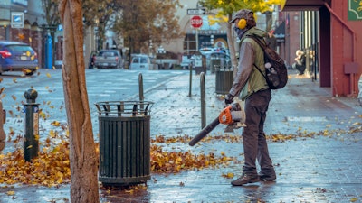 Adult Blower Festival 1623214