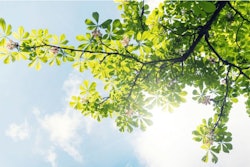 I Stock 960347628 1 1080x608 5d82e03c42678