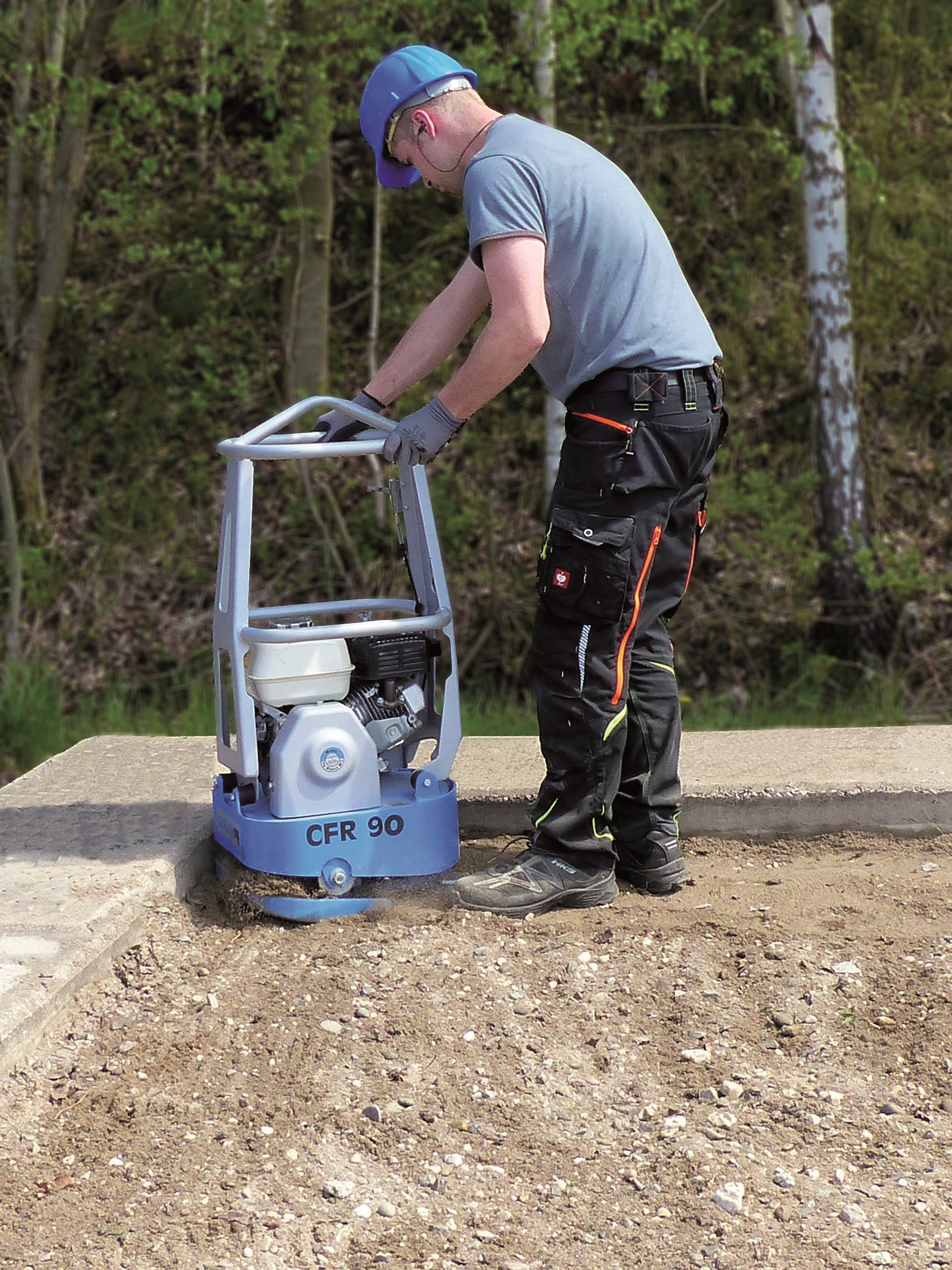 Action Cfr 90 (4 2019 Hoch)[1]