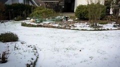 Snow Mulch