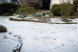 Snow Mulch
