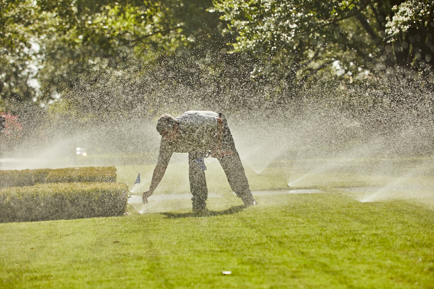 Top 5 Landscaping Trends Of 2020 Green Industry Pros