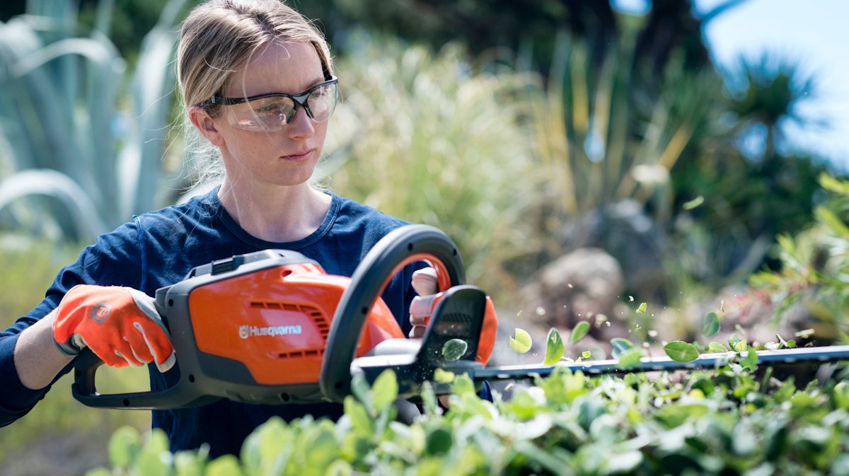 Electric hedge trimmer big w deals