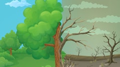 Lush Withered Pasture pdf