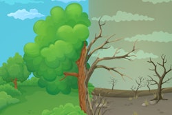 Lush Withered Pasture pdf