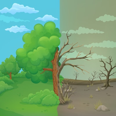 Lush Withered Pasture pdf