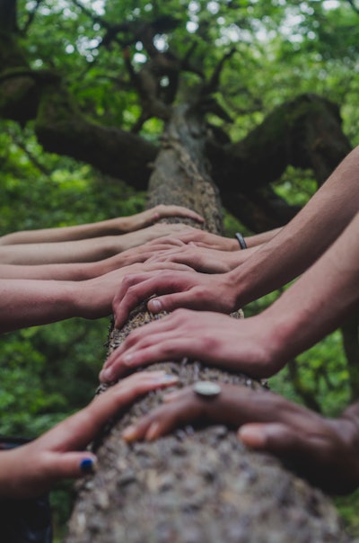 Shane Rounce D Nko Nx Qti3c Unsplash