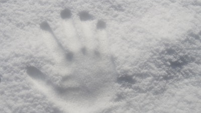 Hand Print On Snow 761268