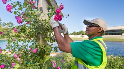 Ssc Services+texas A&m Grounds Team 2
