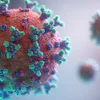 Fusion Medical Animation Rnr8 D3 Fnuny Unsplash