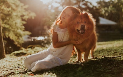 Pexels Photo 573293 1080x675