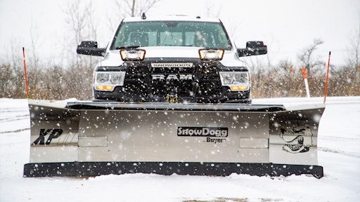 Buyers Xpii Snow Dogg