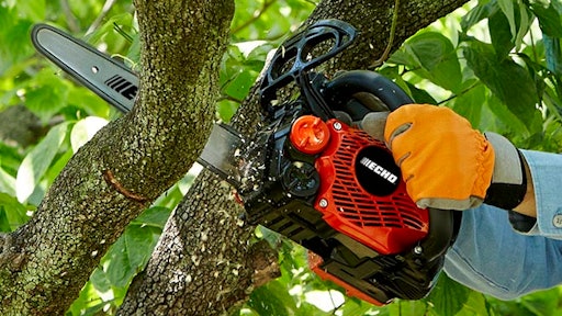 Cs2511t echo deals chainsaw