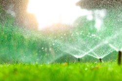 Adobe Stock 242310711