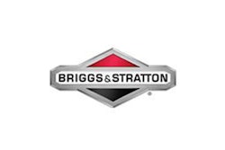 Briggs Stratton Logo 10949071