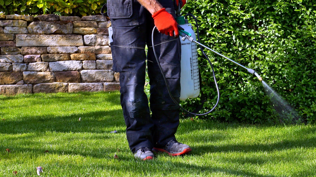 Understanding The Basics Of Pre Emergent Weed Control In Landscape Beds Green Industry Pros