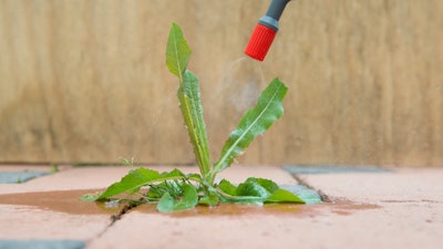 Adobe Stock 52478722