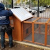 A Chicken Coop Being Installed At Carolina Community Garden In Nyc