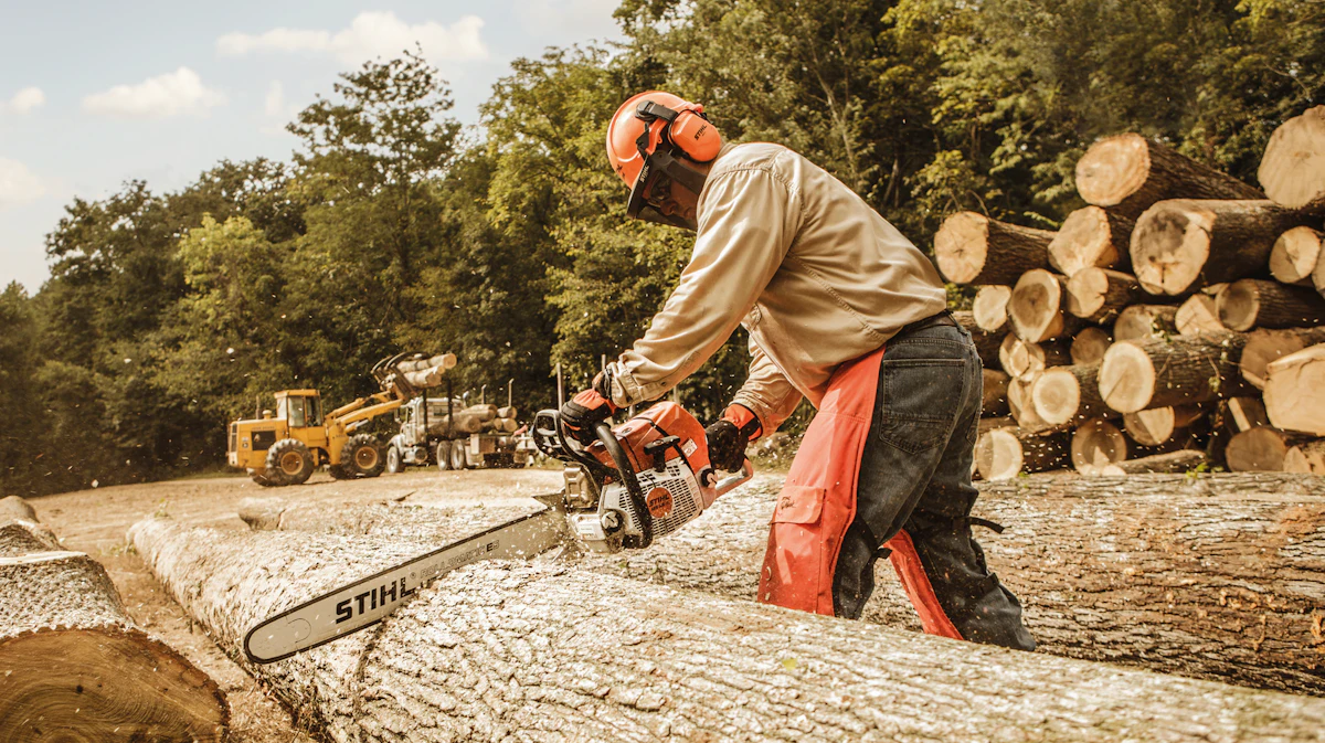Ms 661 STIHL MS 661 MAGNUM and STIHL MS 661 R MAGNUM Chainsaws From: Stihl ...