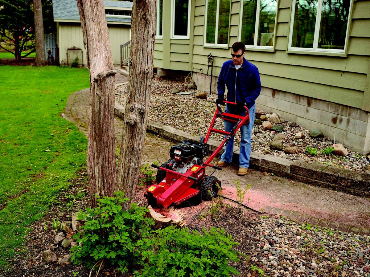 Lawn grinder best sale