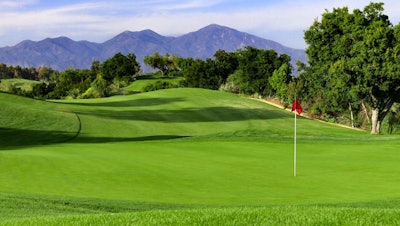 Golf Green Large