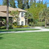 Like any business that is started from the ground up, a lawn care business takes a lot of time and preparation. Having a good business plan is essential in an industry such as lawn care, that brought in almost $100 billion in 2019.
