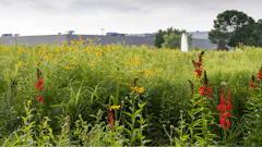 Ariens Co Receives Prestigious Wildlife Habitat Council Certification 02