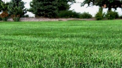 15816973953 3a79533186 O