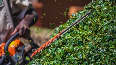 Adobe Stock 321735670