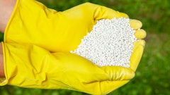 Adobe Stock 219157818