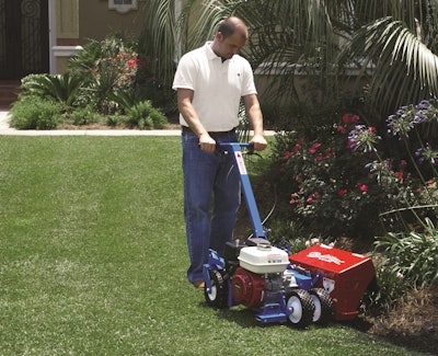 Best online edgers 2021