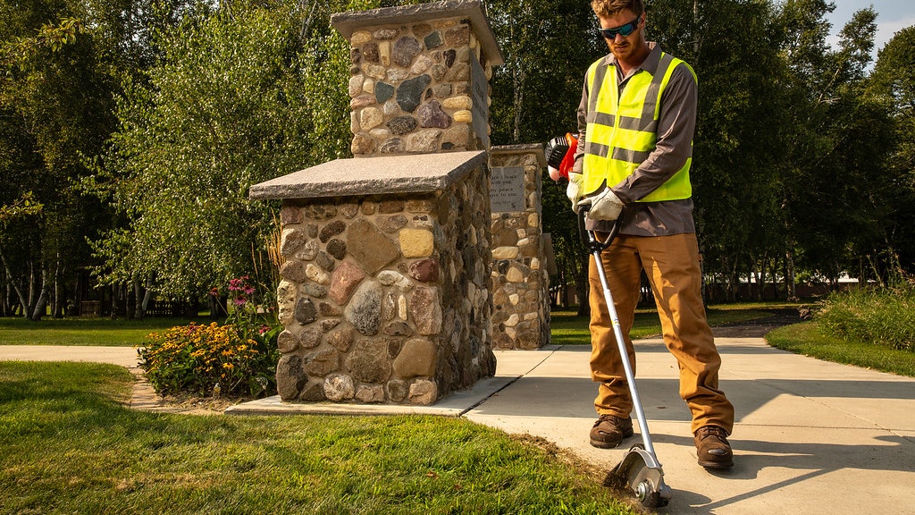 ECHO PE 2620S Straight Shaft Edger From ECHO Inc. Green