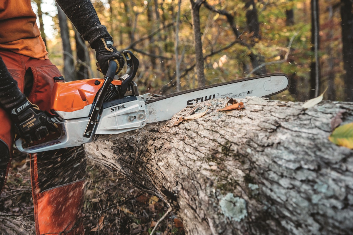 Safest shop chainsaw 2020