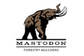 Mastodon Forestry Mulchers Bronze Logo 602af293cb65c