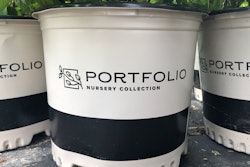 Site One Portfolio