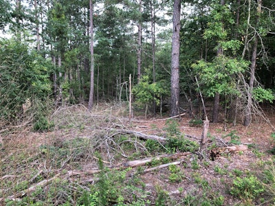 Peterson 8 608b2ce74f898