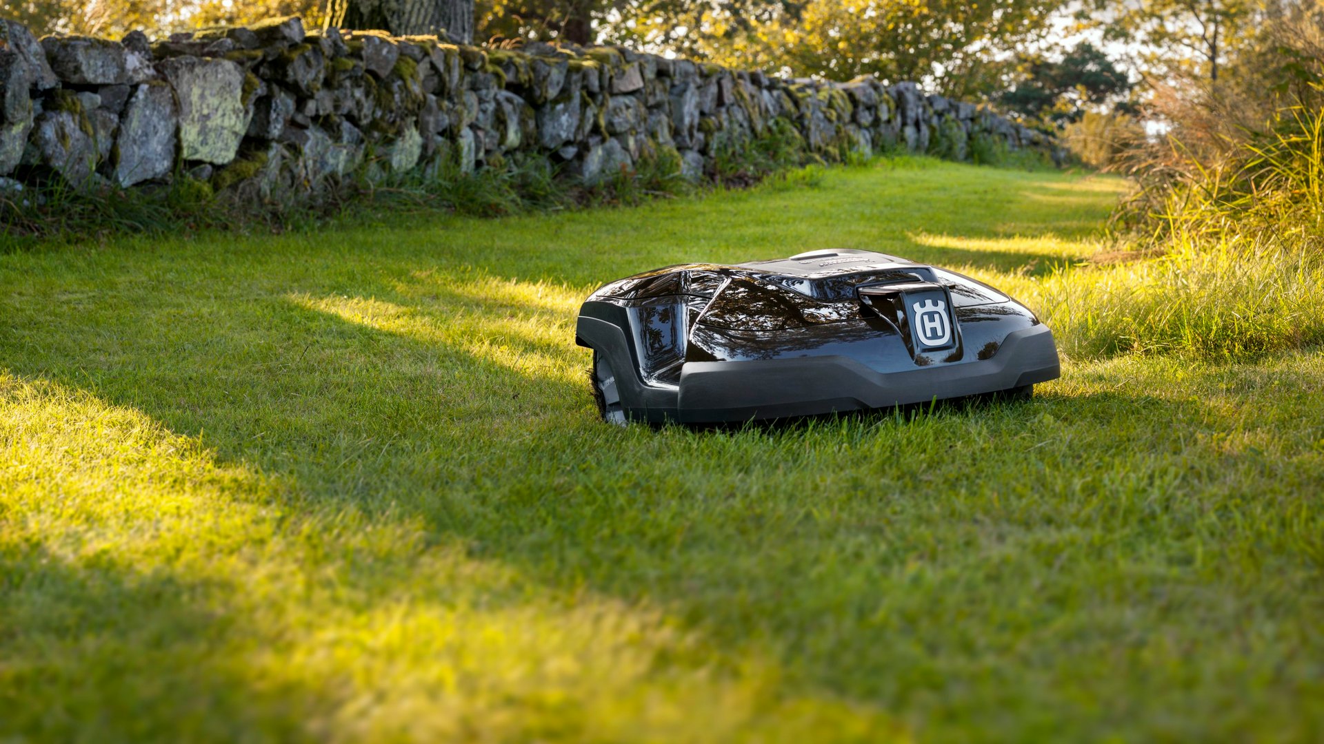 Automower 310 2021 online