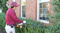 Photo Credit Nalpphilippe Nobile Photography 8029709544 O